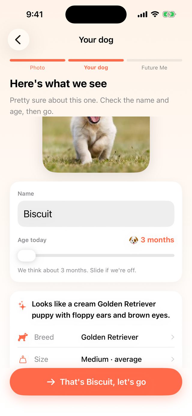 The app reading breed, coat and age from a photo